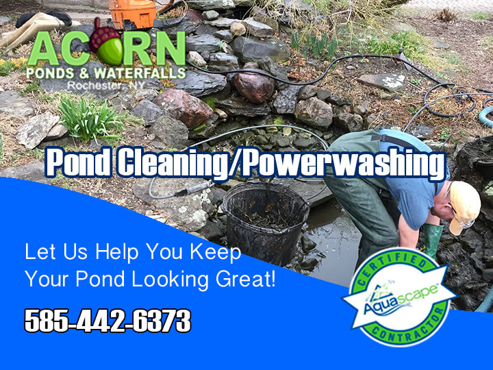 Pond Cleaning Services By Acorn Ponds & Waterfalls Of Rochester NY