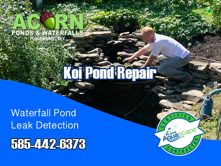 Pond Maintenance Repair By Acorn Ponds & Waterfalls In Western NY