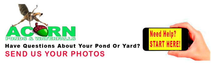 Pond Cleaning, Maintenance & Repair Services In Rochester Monroe County New York - Acorn Ponds