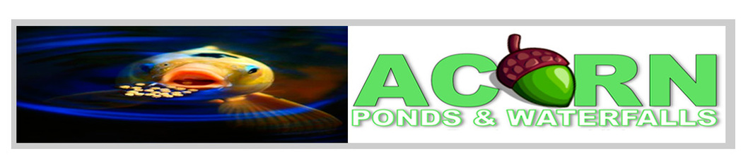 Koi Pond Cleaning & Water Garden Maintenance Services - 585-442-6373 