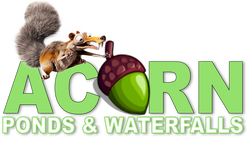 Pond Company-Contractor Of Rochester New York (NY) - Acorn Ponds & Waterfalls